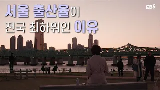 서울의 출산율이 전국 최하위인 이유는? 밀도와 출산율의 관계 | 다큐멘터리 K - 초저출생 5부 보이지 않는 도시