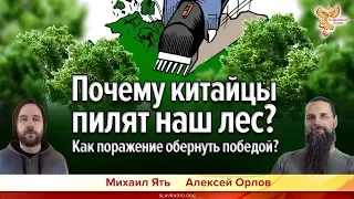 Почему китайцы пилят наш лес? Как поражение обернуть победой? Алексей Орлов и Михаил Ять