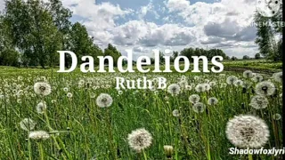 Dandelions - Ruth B (Lyrics)