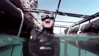 Go Shark Cage Diving in South Africa