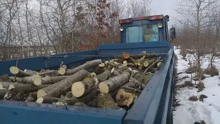 сморобний трактор поїздка по дрова