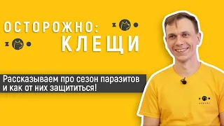 Как защититься от клещей?