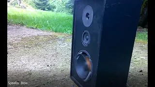 6000 Subscriber Speaker Blow