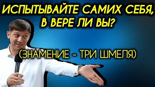 Испытывайте самих себя, в вере ли вы? (Знамение - три шмеля)