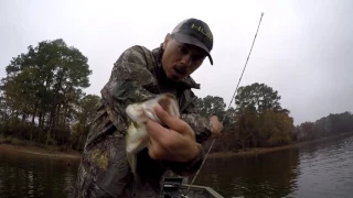 Toledo Bend,Whopper Plopper,Spinner Bait,Swimbait and Cold Wet Weather