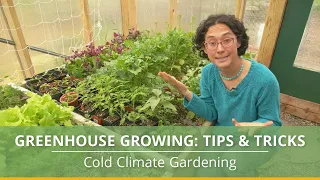 Learn How to Grow Vegetables in a Greenhouse With These Helpful Tips!