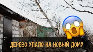 Переезд из города в деревню/ Жизнь в деревне/ Спилили дерево/ День рождения свёкра