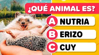 Guess the animal from the PICTURE - Difficult Level 😱🐙🦔 | Zoology test | General Culture Trivia