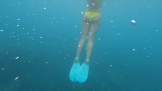 Maui Snorkeling Adventure