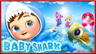 Акулёнок на | Мои первые уроки - Детские песни | Banana Cartoon Preschool