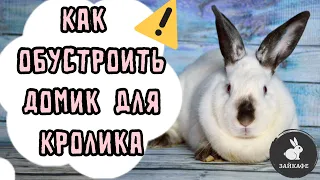 ВОЛЬЕР ДЛЯ КРОЛИКА | КАК ОБУСТРОИТЬ ДОМИК КРОЛИКУ | ЧТО НУЖНО ДЛЯ КРОЛИКА В КВАРТИРЕ