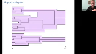 Amaury Lambert (Paris) -- Coevolving genes and species (Third of three lectures)