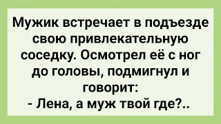 Мужик Сделал Соседке Не Однозначное Предложение! Сборник Свежих Смешных Жизненных Анекдотов!