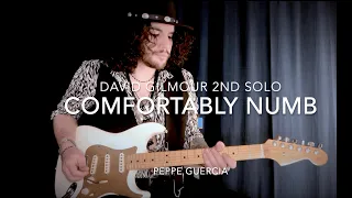 Comfortably Numb - 2nd Guitar Solo Cover