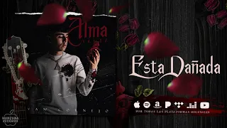 Ivan Cornejo - Está Dañada (Audio Oficial)