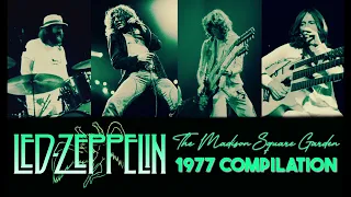 Led Zeppelin - NEW MSG 1977 Compilation