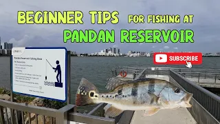 BEGINNER TIPS for fishing at Pandan Reservoir #fishinginsingapore #peacockbass