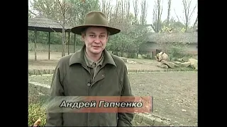 Safari Park Dvůr Králové (Чехия). - Зоопарк Двур-Кралове,2002г.