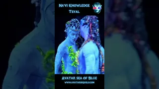 Na’vi Knowledge - Tsyal Tawkami Clan #avatar #avatar2 #thewayofwater