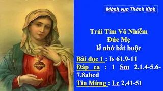 Lễ kính Trái Tim Vô Nhiễm Mẹ Maria - Lc 2,41-51