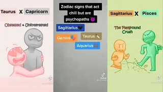Zodiac Sign TikTok Compilation {Part 3}