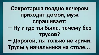 Секретарша Пришла Домой Без Трусов! Сборник Свежих Анекдотов! Юмор!