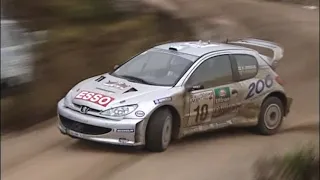 Peugeot 206WRC '00