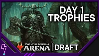 Wilds of Eldraine Trophy Drafts │ MTG Arena