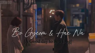 𝑨 𝑻𝒉𝒐𝒖𝒔𝒂𝒏𝒅 𝒀𝒆𝒂𝒓𝒔 |Bo Gyeom X Hae Na| A Good day to be a Dog FMV