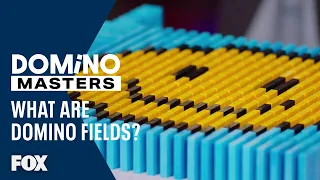 What Are Domino Fields? | Season 1 Ep. 2 | DOMINO MASTERS