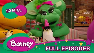 Animals Are Everywhere! | Animal Stories for Kids | Full Episodes | Barney the Dinosaur