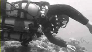 Technical Sidemount dive on 4 cylinders configuration