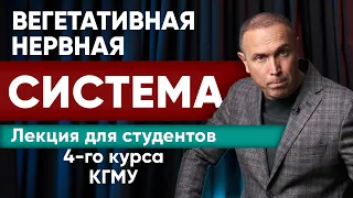 ЛЕКЦИЯ — Вегетативная Нервная Система - функция и дисфункция