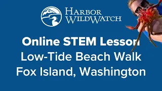 Online STEM Lesson - Low-Tide Beach Walk at Fox Island