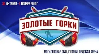 31.10.2019. 2010. Золотые Горки.  Филин-2 - Могилёв