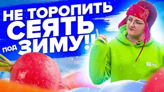 ПОСЕЙТЕ ЭТО СЕЙЧАС, ЧТОБЫ БЫТЬ С УРОЖАЕМ ВЕСНОЙ!