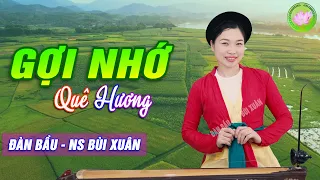 GỢI NHỚ QUÊ HƯƠNG - ĐÀN BẦU BÙI XUÂN➤HÒA TẤU KHÔNG LỜI NHẠC CỤ DÂN TỘC VIỆT NAM, NGỌT NGÀO ĐẮM SAY