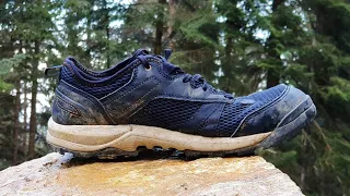 Quechua NH100 Best Budget Hiking Shoes? (Review)
