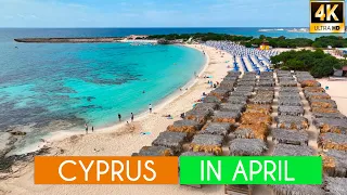 Cyprus in April:  To Swim or Not to Swim? Cinematic Video