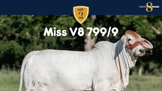 Miss V8 799/9 Brahman Heifer from Made for Magic VIII Online Sale