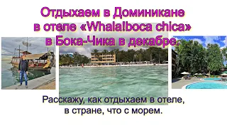 Отдыхаем в Доминикане в отеле «Whala!boca chica» в Бока-Чика в зимой. Расскажу, отзыв про отдых.