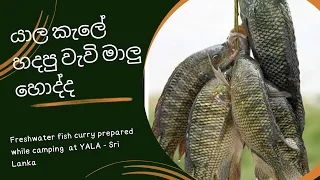 යාල කැලේ හදපු වැවි මාලු හොද්ද | Freshwater fish curry while camping  at YALA - Sri Lanka