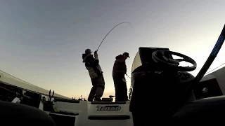 Bass Fishing with Huddleston Deluxe Swimbait (Back To Back Casts)