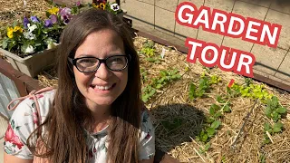 Mid-May Garden Tour (Zone 3 Gardening In Canada)