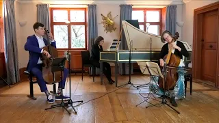 Antonio Vivaldi cello sonata No. 3 in A Minor, RV 43 - Johannes Raab