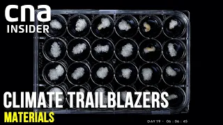 The Future of Materials | Climate Trailblazers: Reimagining Our Future