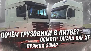 ГРУЗОВИК ИЗ ЛИТВЫ | ОСМОТР ТЯГАЧА DAF XF SUPER SPACE CAB