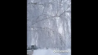 Еще чуть чуть и весна,а затем щедрое лето!