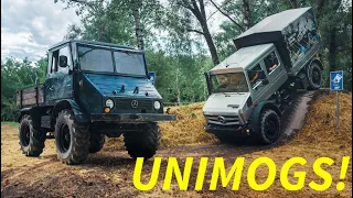 All about Unimogs - old and new 'Mogs driven