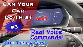 Can Your Car Do This? #3 ... My Tesla Does ... Real Voice Commands!